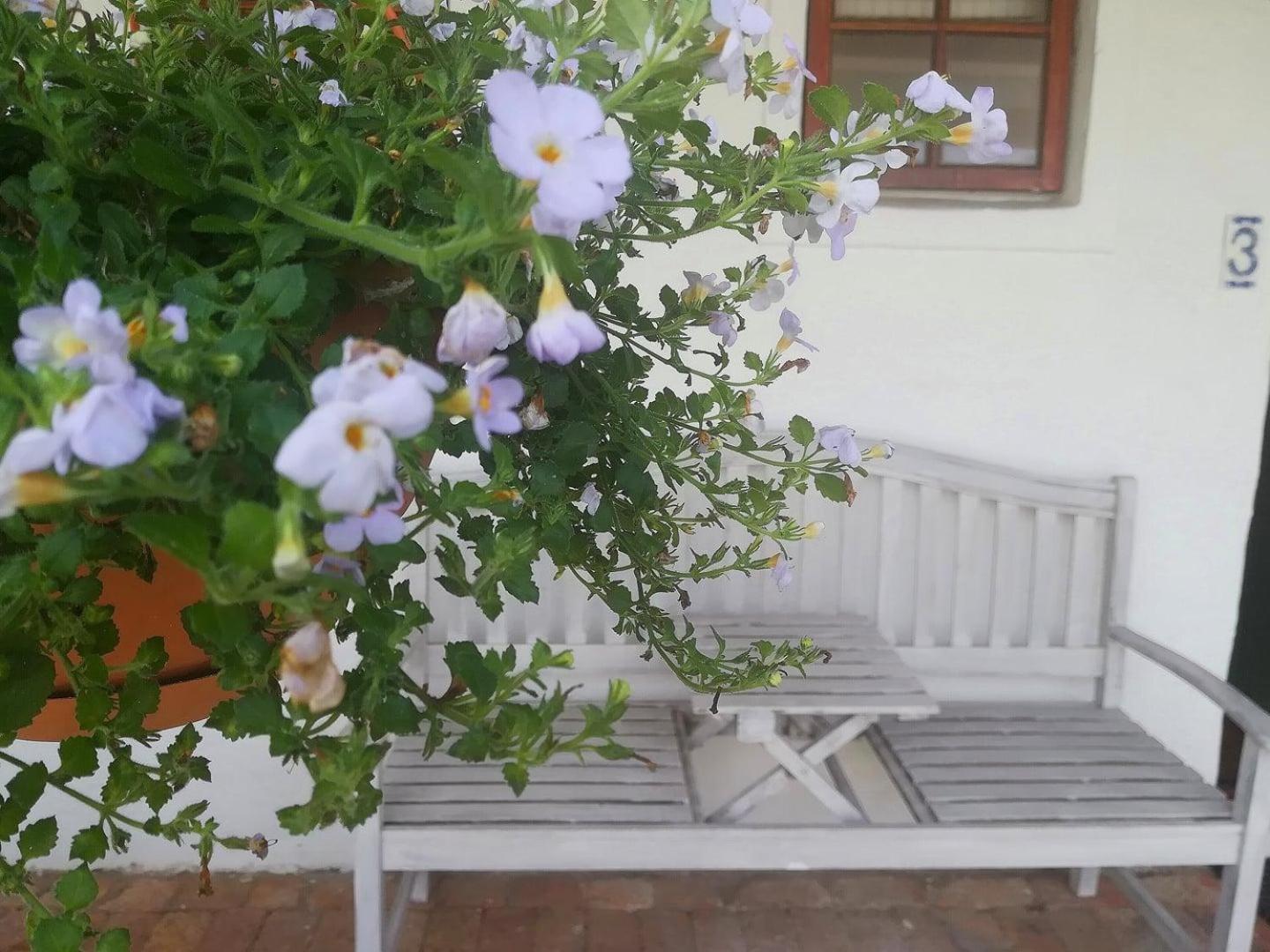Kaijaiki Country Inn And Restaurant Yzerfontein Pokoj fotografie